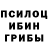 Псилоцибиновые грибы мицелий Joao Dolisete