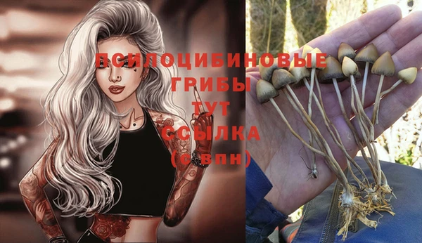 винт Строитель