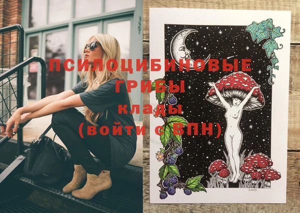 мдпв Володарск