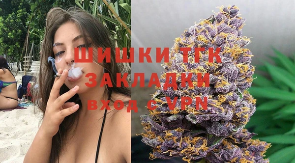 мдпв Володарск