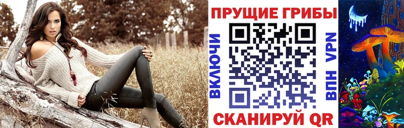 купить  цена  Завитинск  Псилоцибиновые грибы GOLDEN TEACHER 